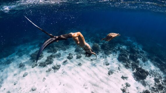 Woman freediver with fins glides underwater with sea turtle in tropical sea.