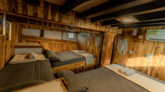 Almadira Phinisi Private Cabin Sailing Komodo Tour