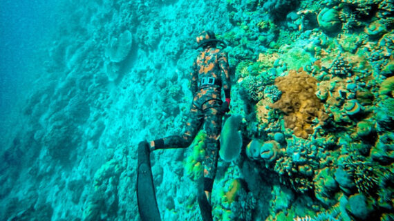 spearfishing lombok