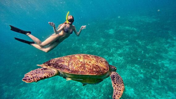 Gili Trawangan Snorkeling