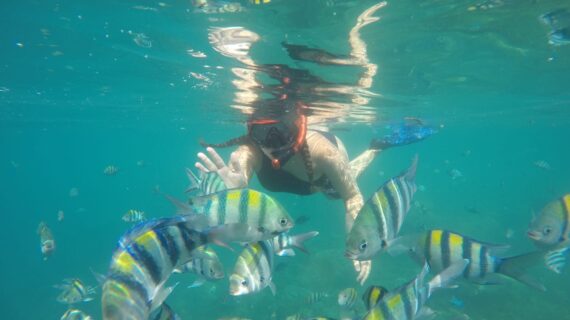 Snorkeling Gili Sudak